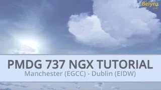 HOW TO FLY THE PMDG 737NGX