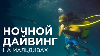 Дайвинг. Китовая акула. Whale shark. Trip expert Михаил Карпович ( Mikhail Karpovich )