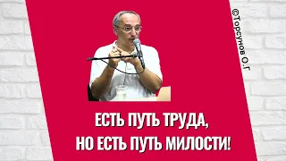 Есть путь труда, но есть Путь Милости! Торсунов лекция