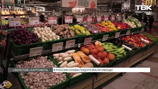 В России снова дорожают овощи: в чем причина роста цен