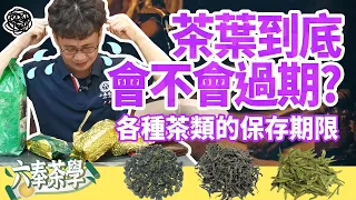 【六奉茶學】茶葉會過期嗎？品茶師來分享各茶類的保存期限！