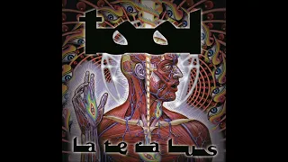 TOOL - Lateralus (Instrumental)