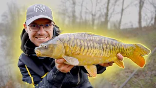 The EASY way to catch CARP in winter