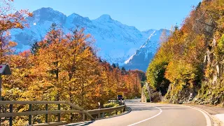 🍁 Mesmerizing Switzerland in Orange and Gold - Beautiful Swiss Mountains | #swiss