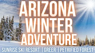 Arizona Winter Road Trip to the White Mountains and Petrified Forest!