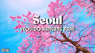 SEOUL Cherry Blossom at Yeouido Hangang Park and Ikseon-dong Hanok Village + Jongmyo Shrine | Vlog 4
