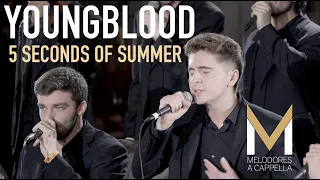 Youngblood (5 Seconds of Summer LIVE) — Melodores A CAPPELLA Cover - The Great Room Sessions