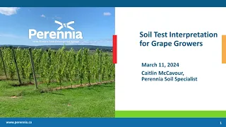 Grape Nutrition Making Sense of Soil and Tissue Analyses