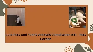 Cute Pets And Funny Animals Compilation #41 - Pets Garden