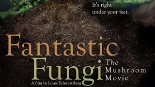 Фантастические грибы, Fantastic Fungi