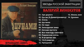 Валерий ВИНОКУРОВ, "Цунами" (Франция, 2007). Эмигрантские песни.