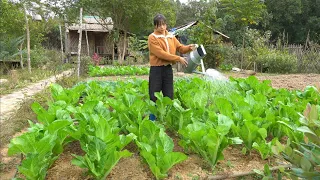 Grow strawberries and tomatoes. Taking care of the vegetable garden, harvesting and cooking.