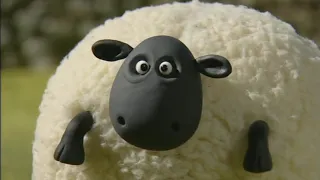 Shaun the Sheep season 1 episode 13