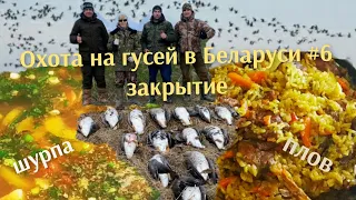 Охота на гусей в Беларуси 2021 #6 Закрытие| Goose hunting in Belarus 2021 # 6 closure