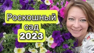 Цветущий сад в октябре 2023 | Сказочный сад по Вашим заявкам | Что цветет в октябре