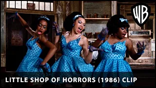 Little Shop of Horrors (1986) Opening Scene | Warner Bros. UK