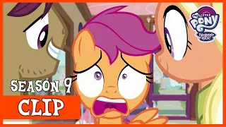 Scootaloo's Parents Return to Ponyville (The Last Crusade) | MLP: FiM [HD]