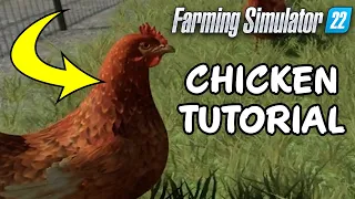 A COMPLETE GUIDE TO CHICKENS 🐔 - Farming Simulator 22