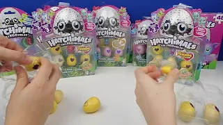 YUMURTAYI ÖNCE KIRAN KAZANIR! 48 Hatchimals CollEGGtibles Sürpriz Yumurta Açtık!! Bidünya Oyuncak