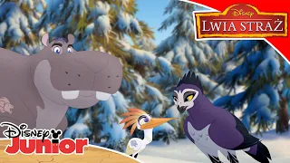 Lwia Straż ratuje Śnieżne Małpy | Lwia Straż | Disney Junior Polska