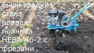 Нева МБ-2 с фрезами.Были грядки, делаем ровное поле.