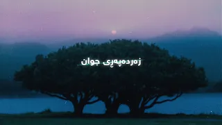 Muhammad Abbas - Zardapary Jwan (Lyrics) | محەمەد عەباس - زەردەپەڕی جوان - ژێرنوس