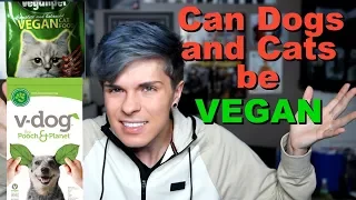 Can Dogs & Cats Be VEGAN?! | Feeding Pets a Vegan Diet