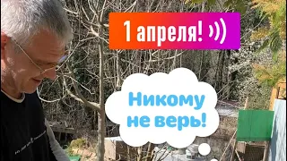 1апреля. Розыгрыш собаки😂 Овчарка и таблетки #всочиумаши