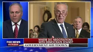 Scalise: Dems Won't Negotiate Border Security Out of Fear of Radical Left