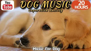 20 HOURS of Dog Calming Music🐶💖Anti Separation Anxiety Relief Music🦮🎵Dog TV Music⭐Healingmate