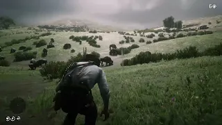 Perfect Bison Pelt in RDR2 with Improved Arrows