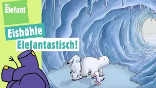 Der kleine Eisbär verirrt sich in einer Eishöhle & Ratefilm Eis | Der Elefant | WDR