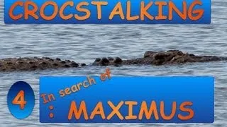Giant crocodile Maximus - Crocstalking episode 4