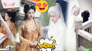 Wow, Bailu and Zeng Shunxi's stunning new looks when they are in the same frame have once again arou