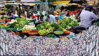 Amazing fish market activities, massive supply of fish, Cambodian fish market