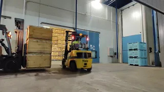 GV Storage Best Forklift drivers in the world