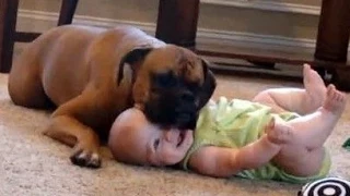 Lustige Babys Lachen hysterisch auf Hunde und Katzen Compilation 2015 [HD VIDEO]