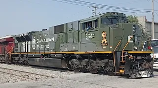 CP 6644 HERITAGE UNIT EN MONTERREY Y MUCHA MAS VARIEDAD DE TRENES!!!!