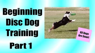 How Teach Your Dog To Play Disc From Scratch: Part 1