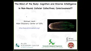 My talk on consciousness at the Science of Consciousness 2023