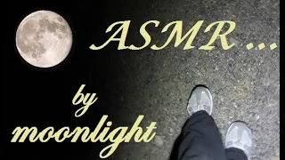 ASMR...BY MOONLIGHT | CRUNCHY GRAVEL WALK