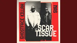 Scar Tissue