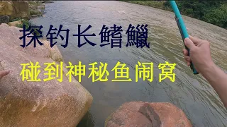 Fishing for native small fish in the stream, I unexpectedly encountered a big fish, fishing in China