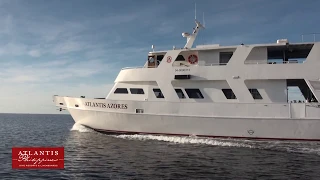 Diving Tubbataha Reefs with Atlantis Azores