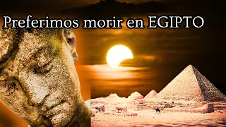 Hubiéramos preferido que el SEÑOR nos matara en Egipto | Éxodo 16 | Parte 1