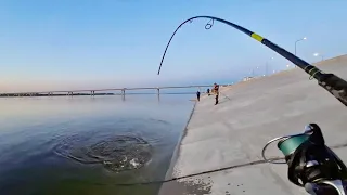 ПРИШЁЛ, И ХРЕН ГДЕ ВСТАНЕШЬ! РЫБАЛКА В ЛЮТОЙ ТОЛПЕ В ЦЕНТРЕ ГОРОДА