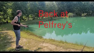 Back to Pelfreys