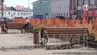 НОВОСТИ БОГОРОДСКА(СЛЕДЫ ВАНДАЛИЗМА НА УЛИЦАХ ГОРОДА) 390 ВЫПУСК.