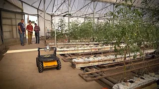 La agricultura 4.0: tecnología sustentable para afrontar el futuro