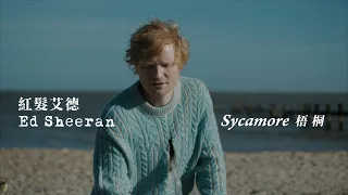 紅髮艾德 Ed Sheeran - Sycamore 梧桐 (華納官方中字版)